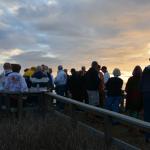 Cambria_0158 (November 04, 2017)